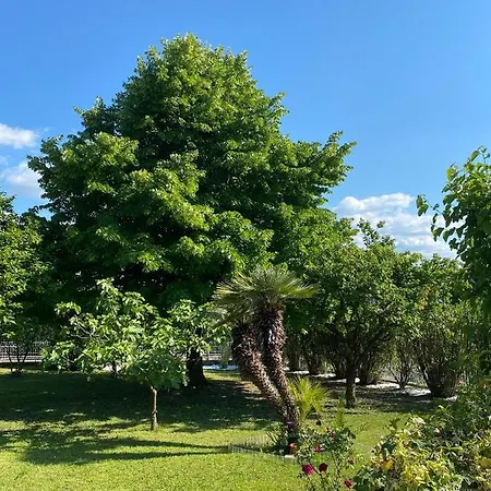 Bellavista 37 度假居 巴多利诺